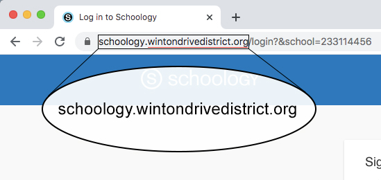 Magnification of a custom domain for a Schoology login portal