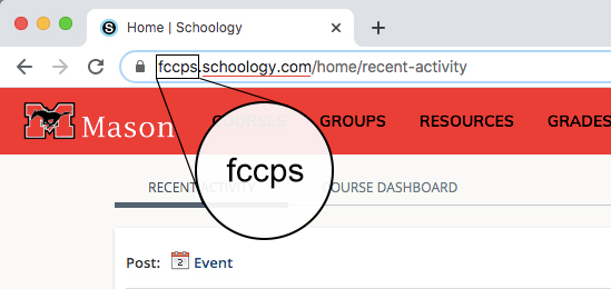 Magnification of a custom subdomain for a Schoology login portal